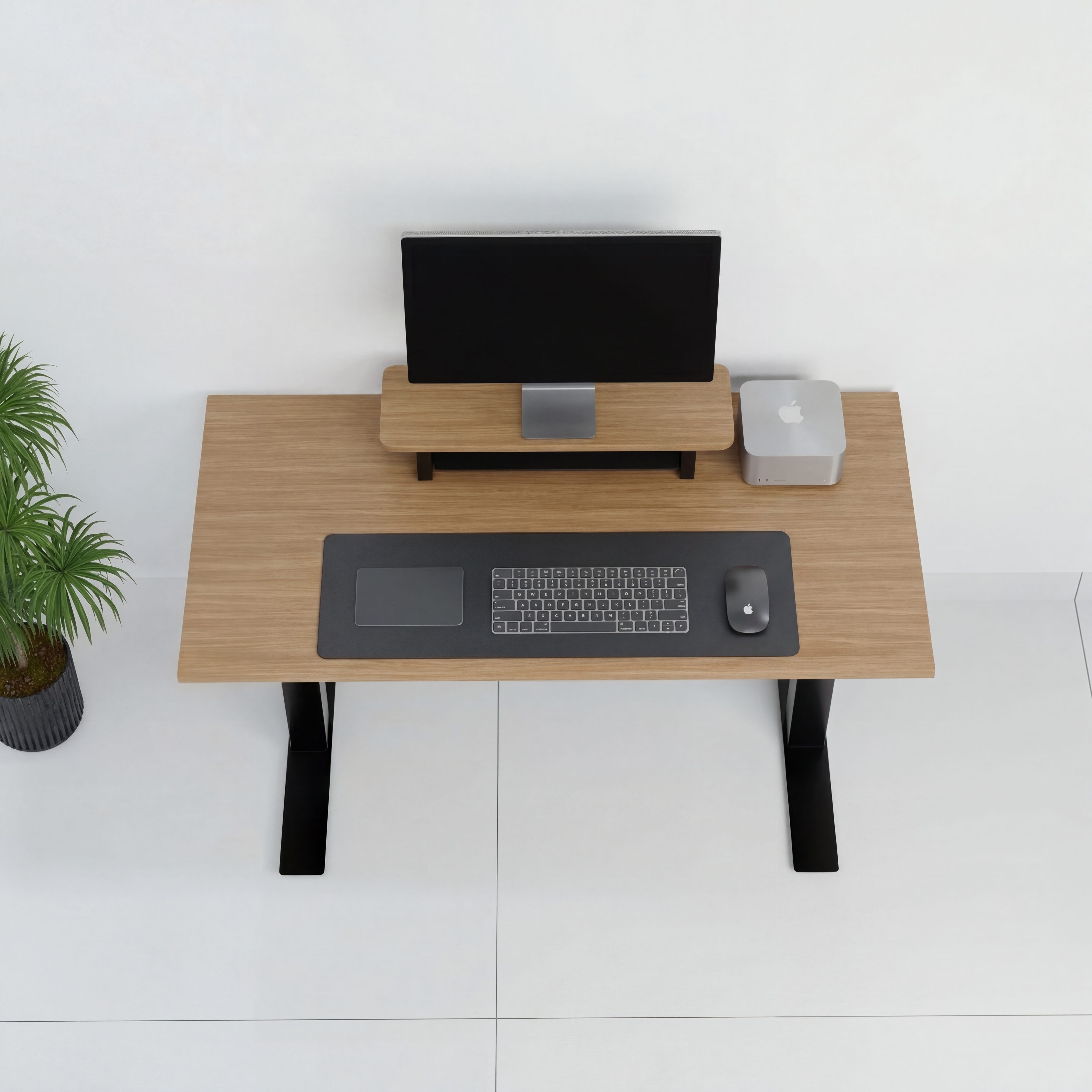 StandPro Slim Plus Jequitiba 012